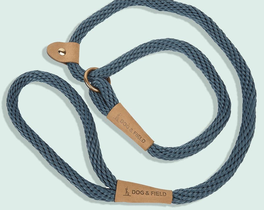 Dog Leads